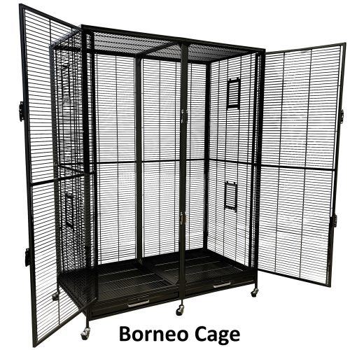 BorneoCageOpenDoors1 415f91d8 6a62 477e a059 55a88cee7e17