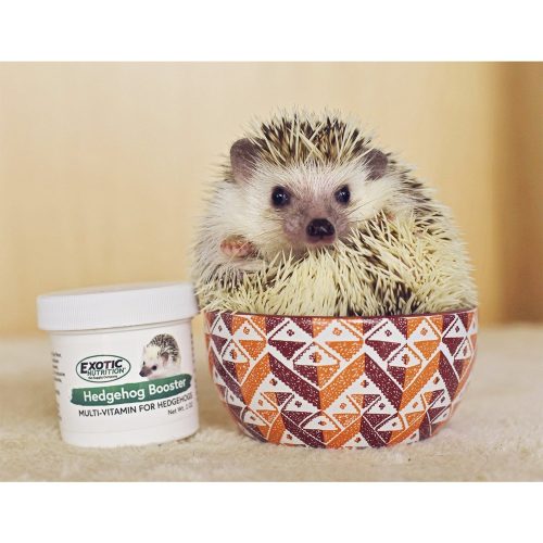 CustomerPhoto HedgehogBooster 1 fb5d9013 d9c3 4196 a0c2 7c90893724f3