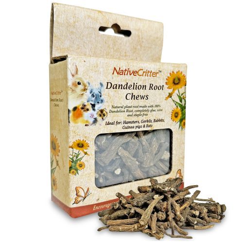 DandelionRootChews1