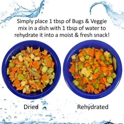 HedgieBugsVeggieRehydrated1 7ec2f164 0803 49f0 93d3 978d46caf1e1