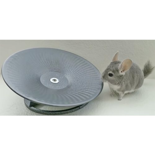 TreadmillWheelwithChinchilla 2